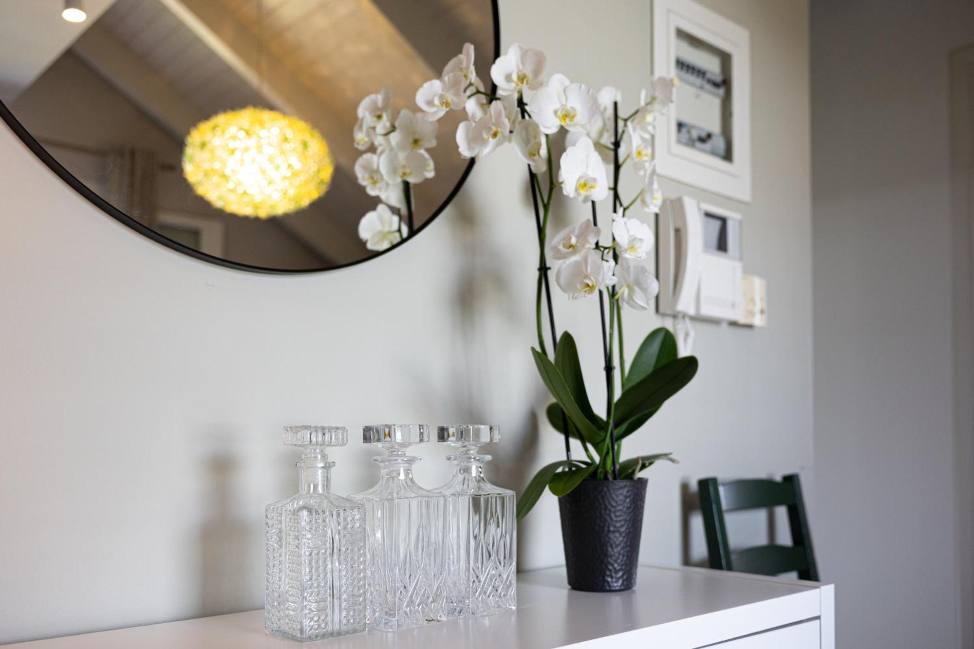 Domus City Apartment อาร์กอสโตลี ภายนอก รูปภาพ